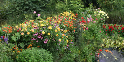 Naturschatzkammer-Paradiesgarten-Pilzmuseum Garten 