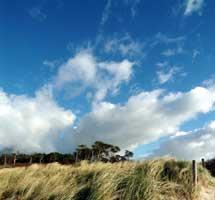 Mare Feriendomizile an Bodden & Meer